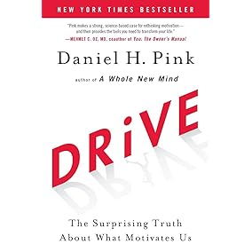 Drive: The Surprising Truth About What Motivates Us